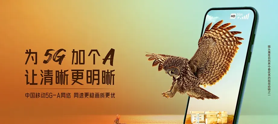 大悟县大悟县芳畈镇 移动宽带